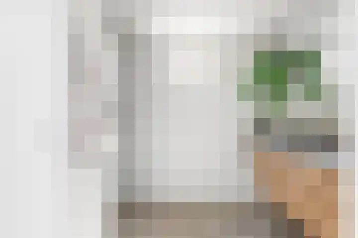 Lindenlaan 72 Alkmaar thumbnail 34
