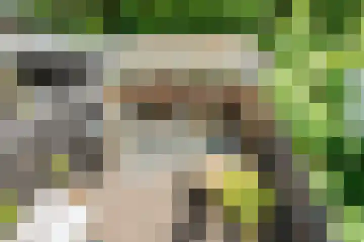 Lindenlaan 72 Alkmaar thumbnail 38