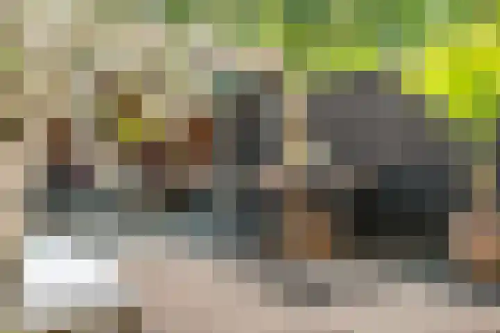 Lindenlaan 72 Alkmaar thumbnail 39