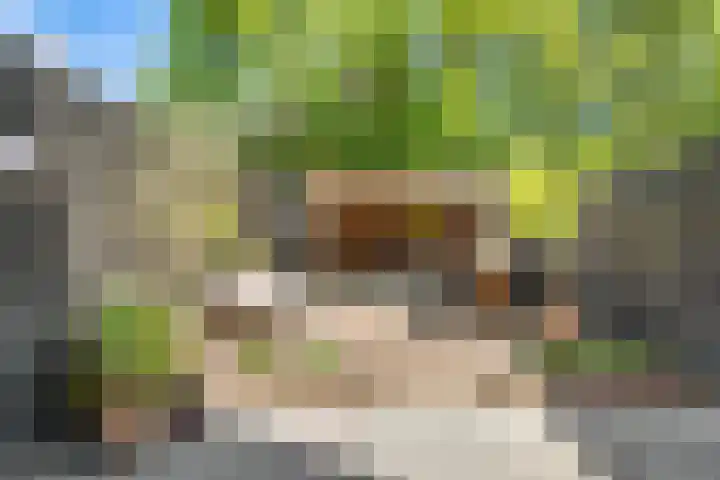Lindenlaan 72 Alkmaar thumbnail 4