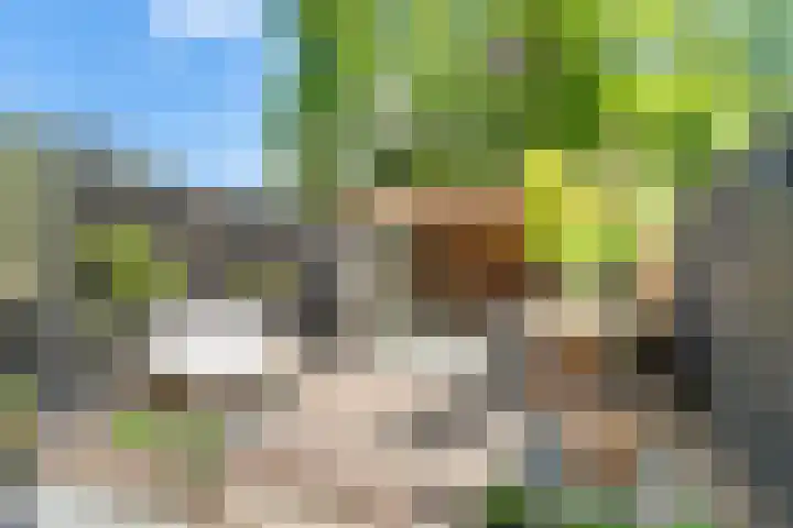 Lindenlaan 72 Alkmaar thumbnail 40