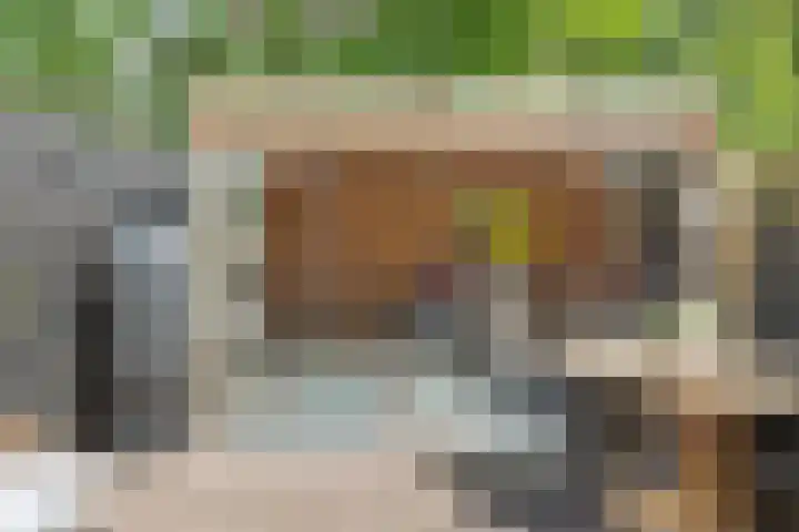 Lindenlaan 72 Alkmaar thumbnail 41