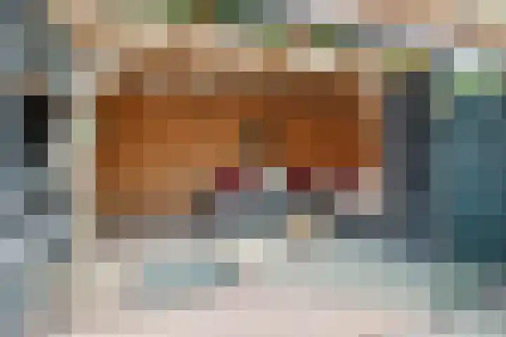 Lindenlaan 72 Alkmaar thumbnail 42