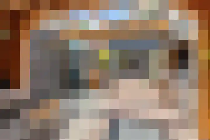 Lindenlaan 72 Alkmaar thumbnail 43