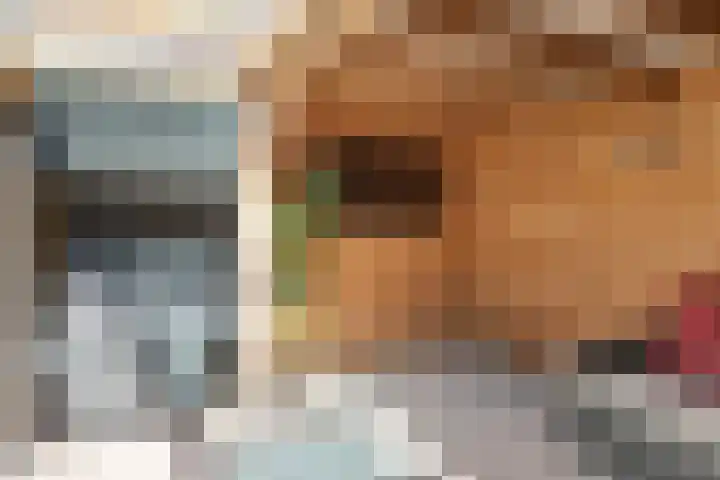 Lindenlaan 72 Alkmaar thumbnail 44