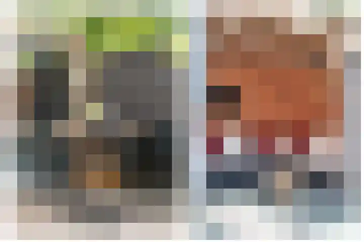 Lindenlaan 72 Alkmaar thumbnail 45