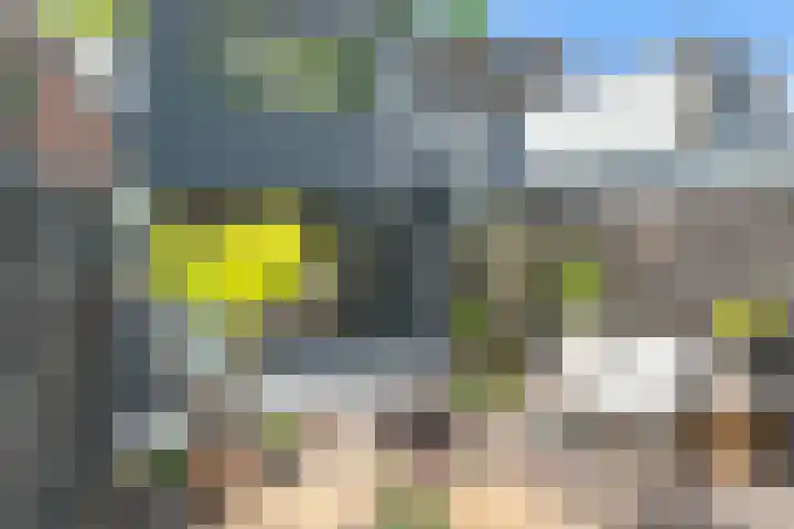 Lindenlaan 72 Alkmaar thumbnail 47