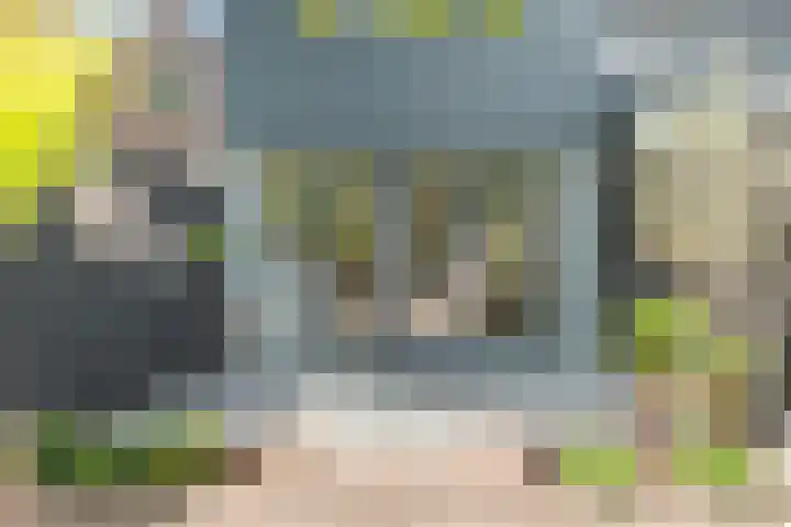 Lindenlaan 72 Alkmaar thumbnail 48