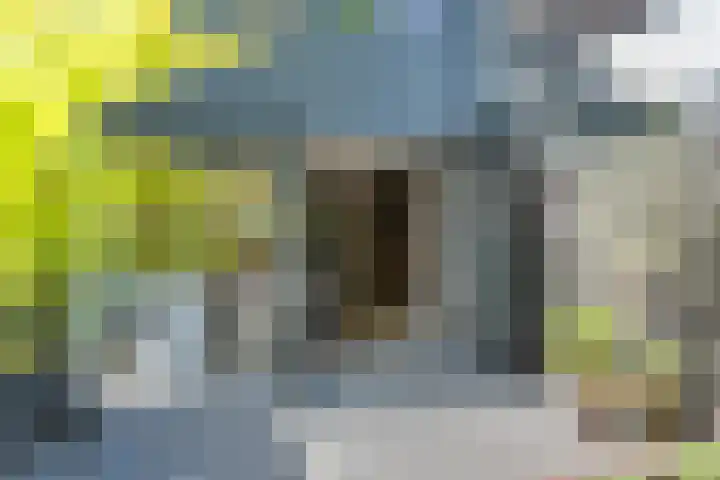 Lindenlaan 72 Alkmaar thumbnail 49