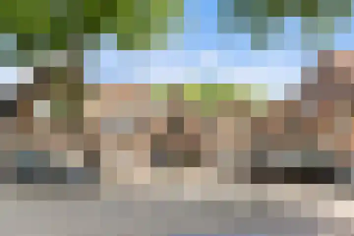 Lindenlaan 72 Alkmaar thumbnail 5