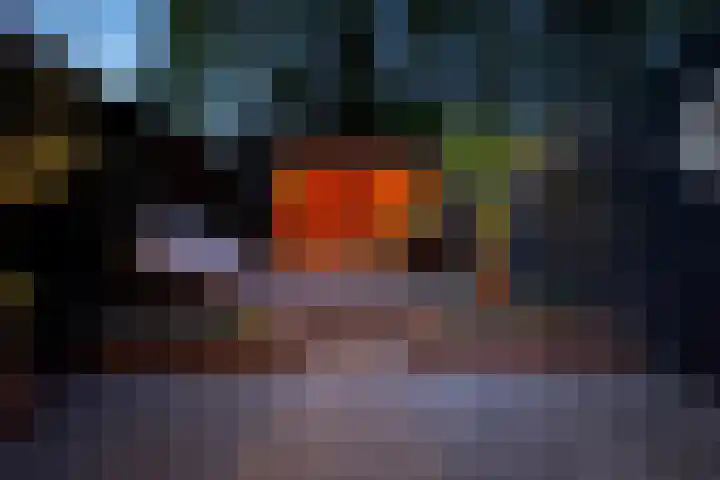 Lindenlaan 72 Alkmaar thumbnail 50
