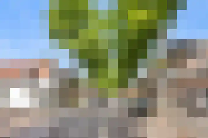 Lindenlaan 72 Alkmaar thumbnail 53