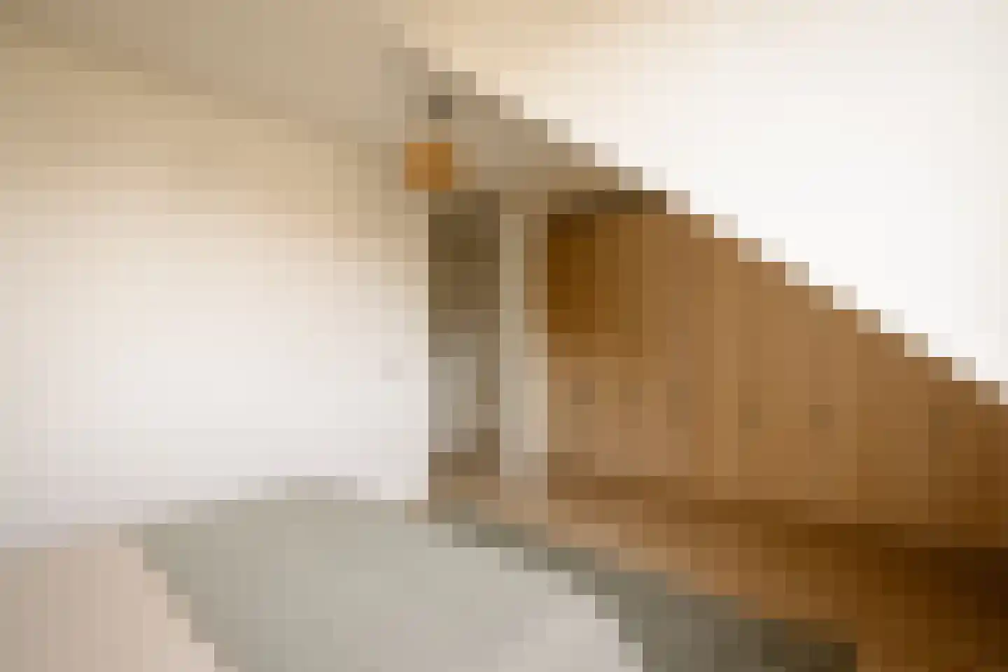 Lindenlaan 72 K Zwanenburg thumbnail 22