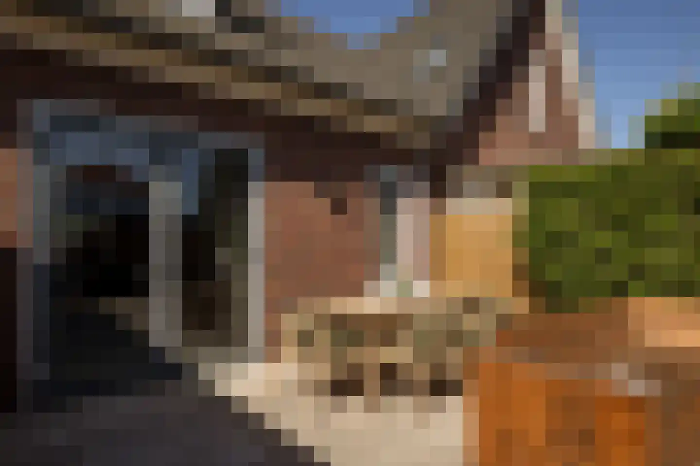 Lindenlaan 72 K Zwanenburg thumbnail 30