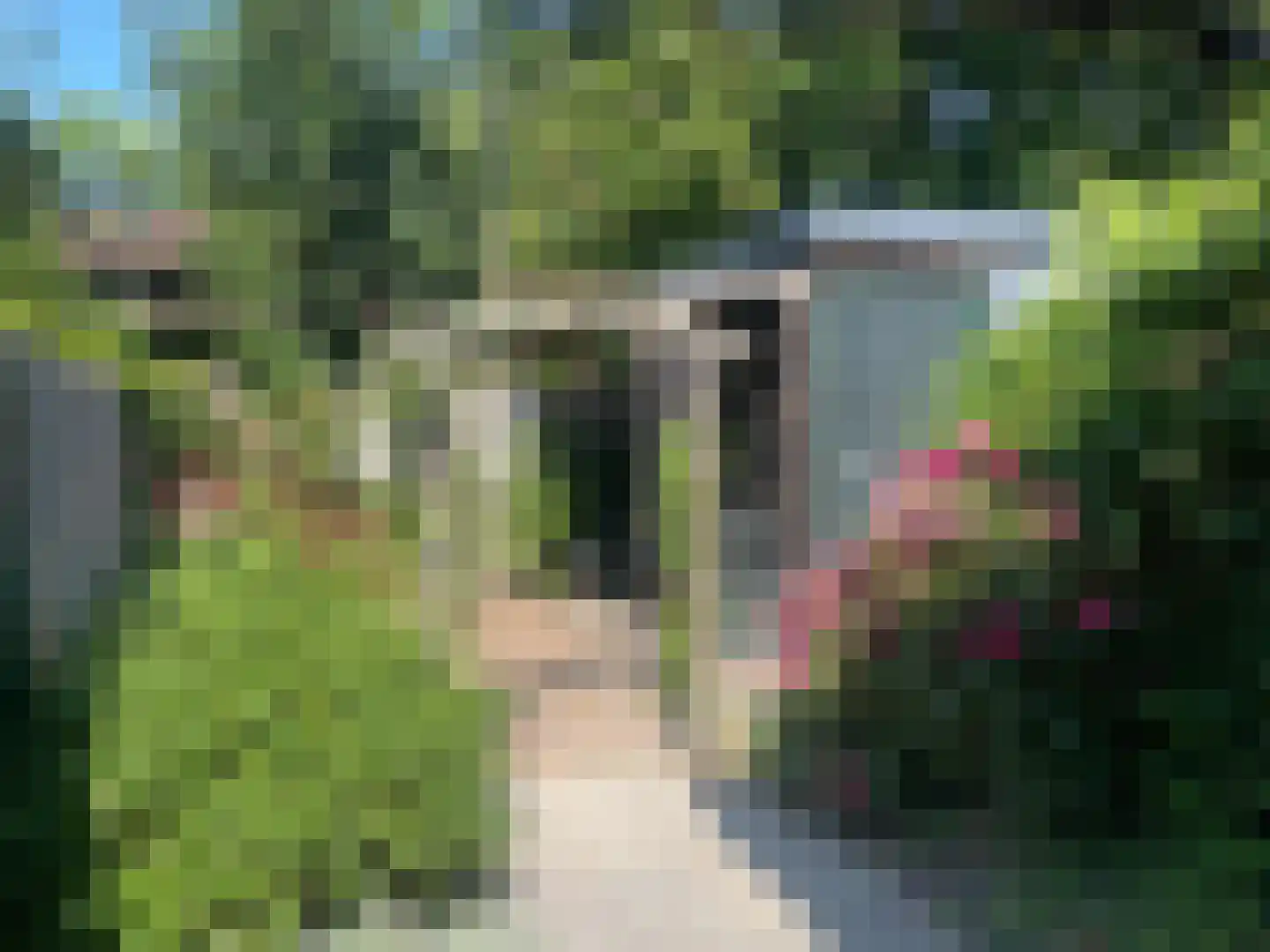 Lindenlaan 76 Alkmaar thumbnail 15