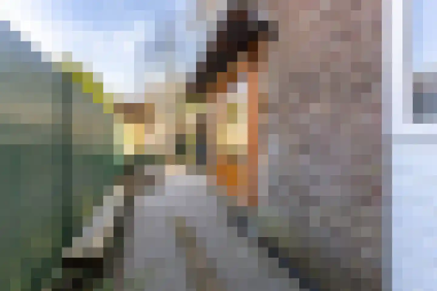 Lindenlaan 76 Alkmaar thumbnail 16