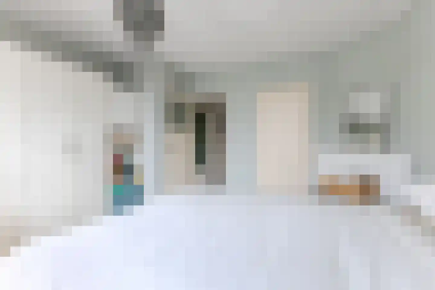 Lindenlaan 76 Alkmaar thumbnail 20