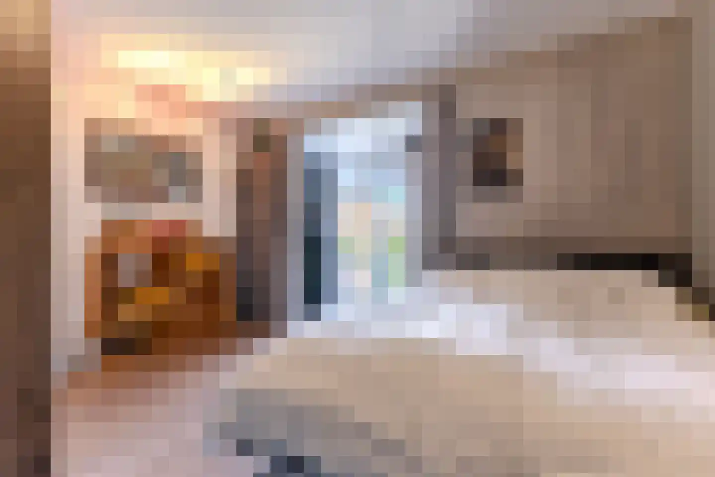Lindenlaan 76 Alkmaar thumbnail 22