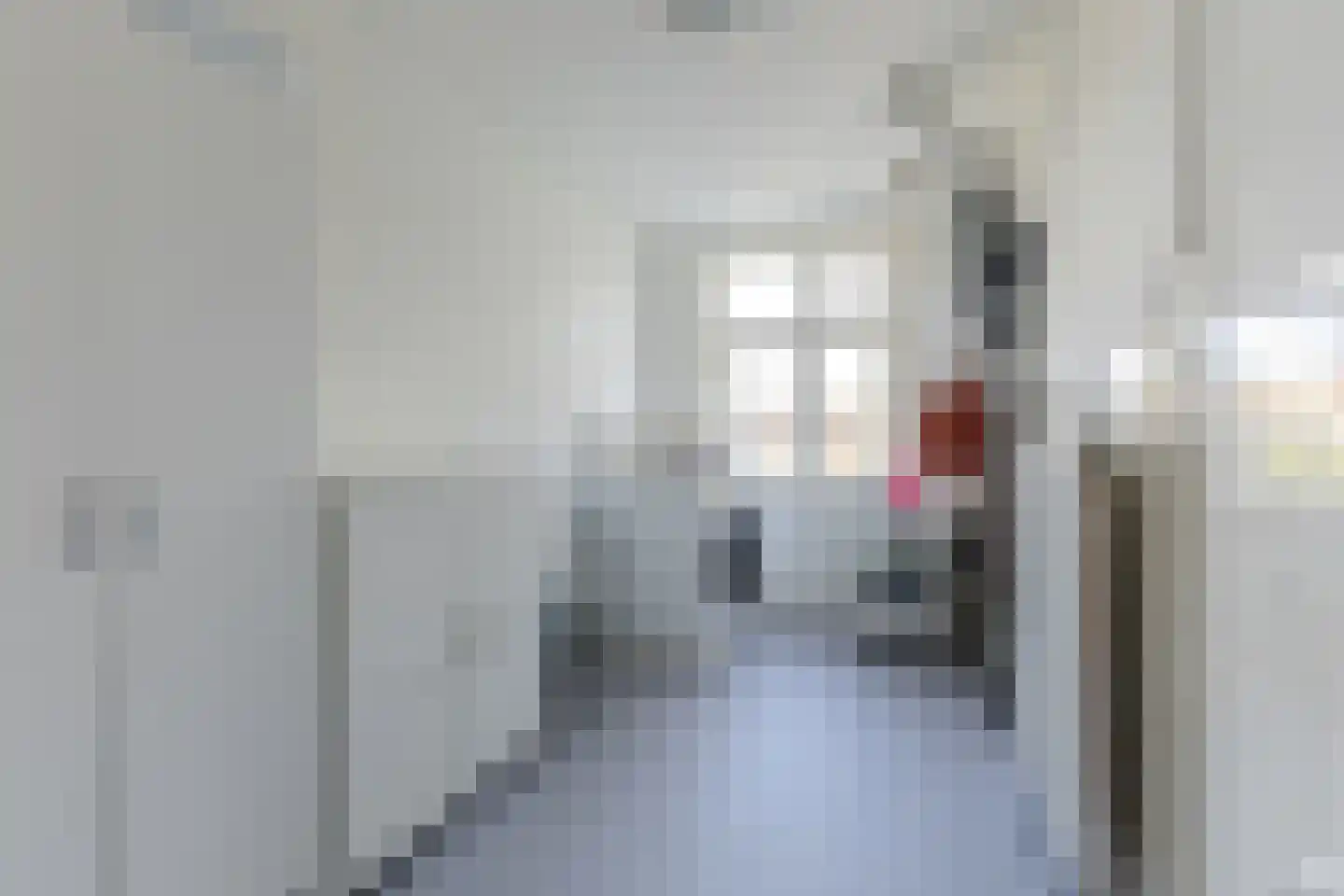 Lindenlaan 76 Alkmaar thumbnail 24