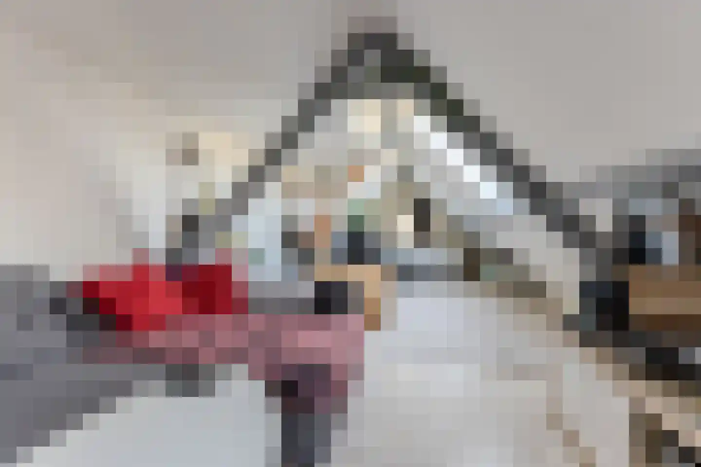 Lindenlaan 76 Alkmaar thumbnail 26