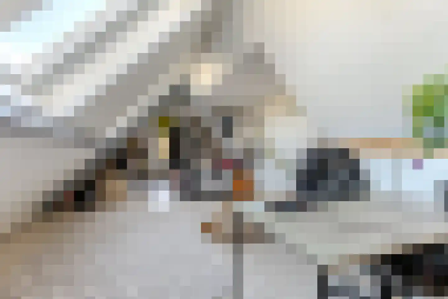 Lindenlaan 76 Alkmaar thumbnail 27