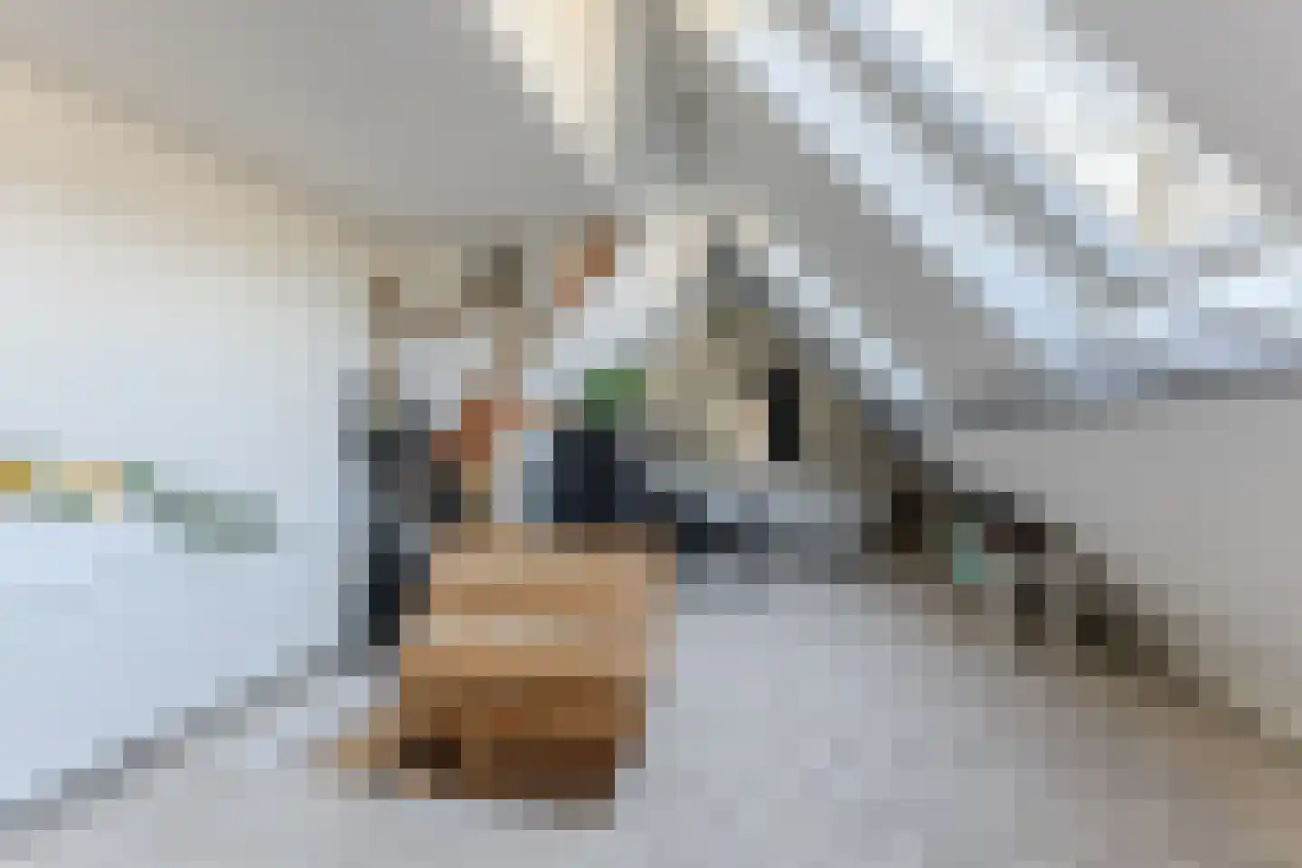 Lindenlaan 76 Alkmaar thumbnail 28