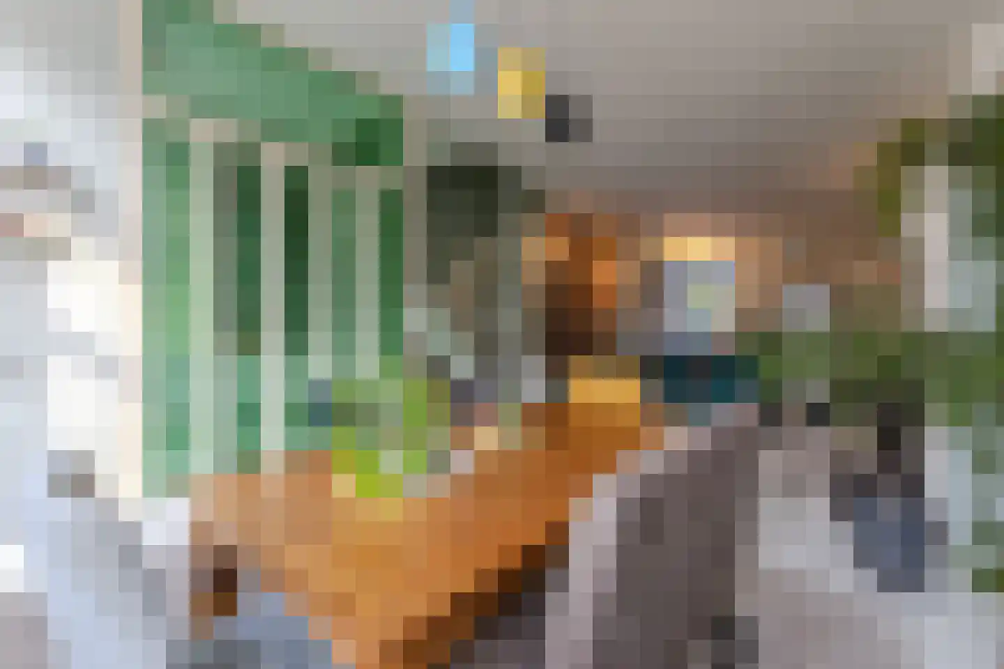 Lindenlaan 76 Alkmaar thumbnail 4