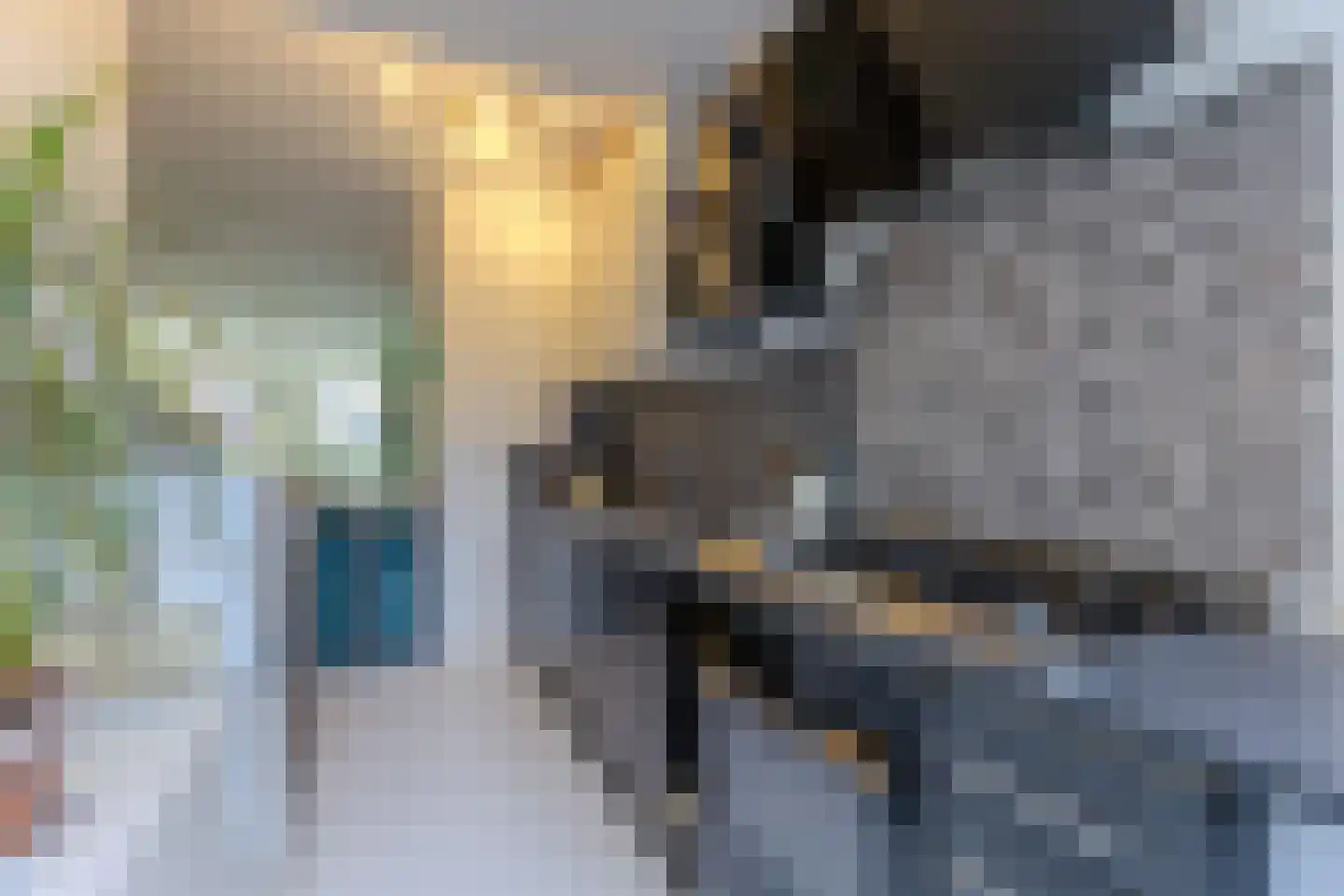 Lindenlaan 76 Alkmaar thumbnail 7