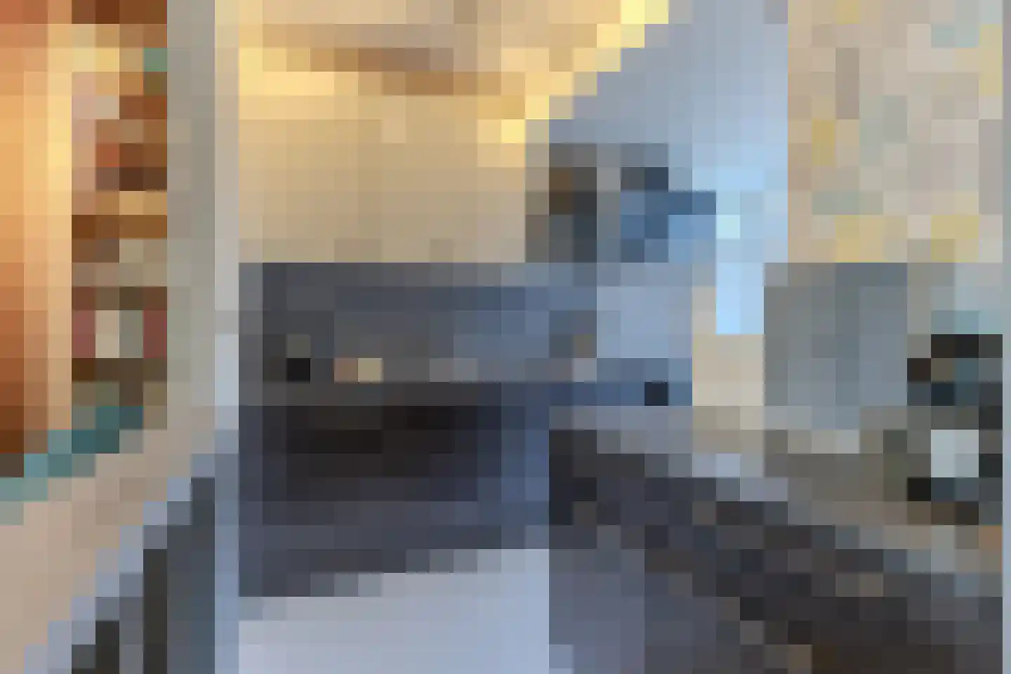 Lindenlaan 76 Alkmaar thumbnail 8