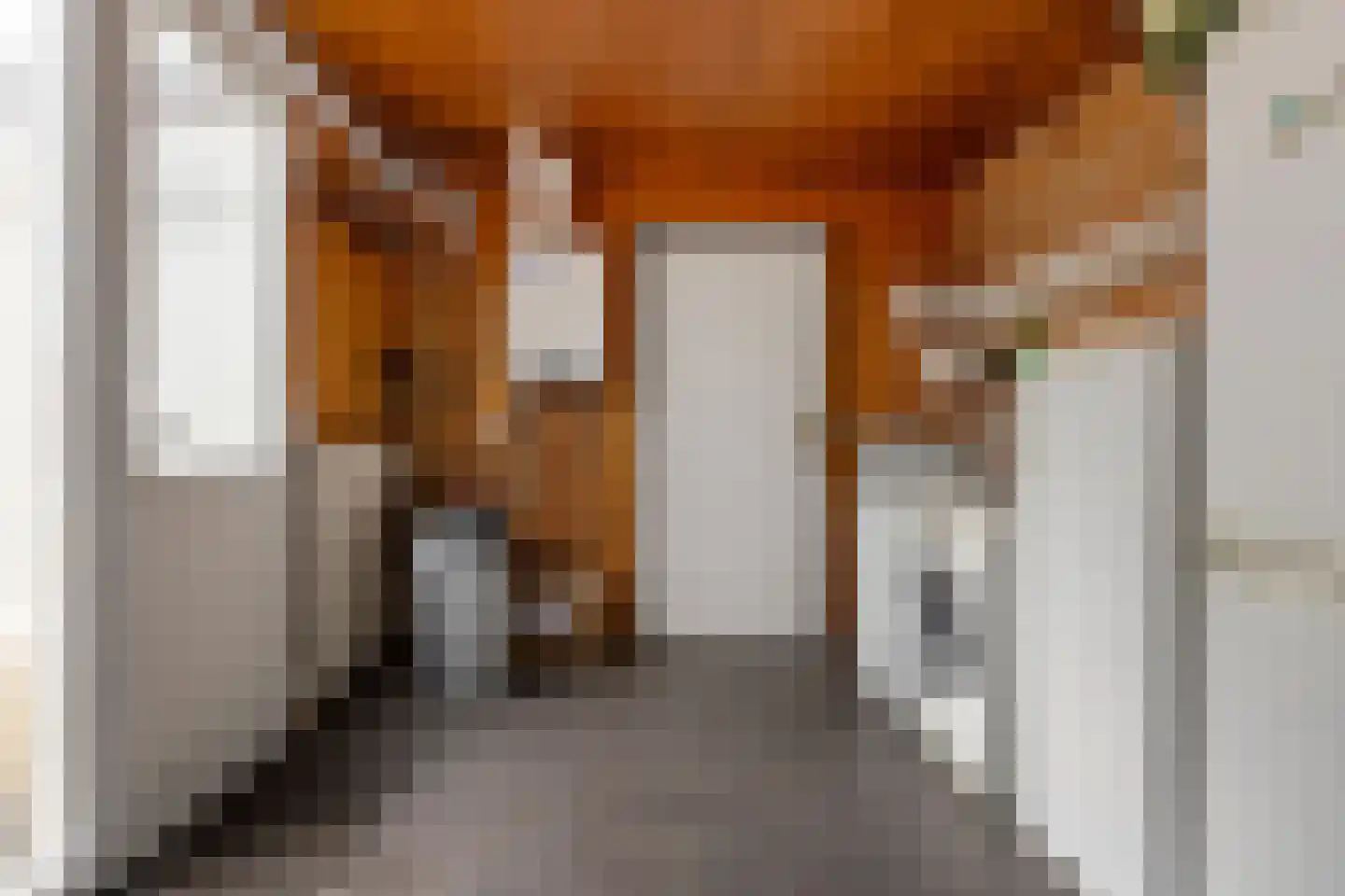 Lindenlaan 8 Geesbrug thumbnail 21