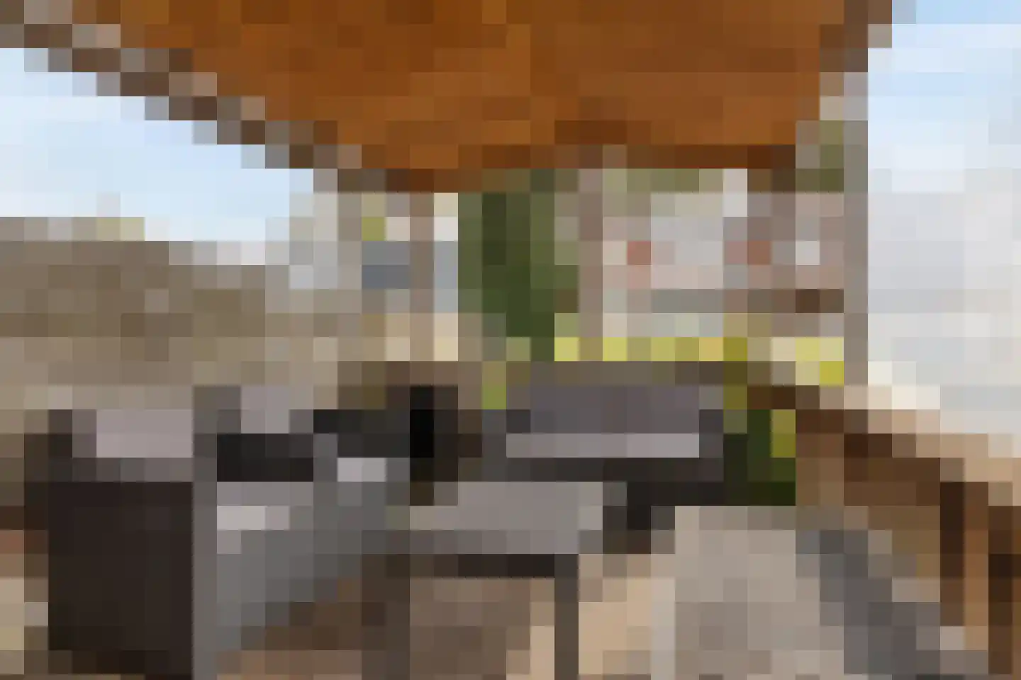 Lindenlaan 8 Geesbrug thumbnail 28
