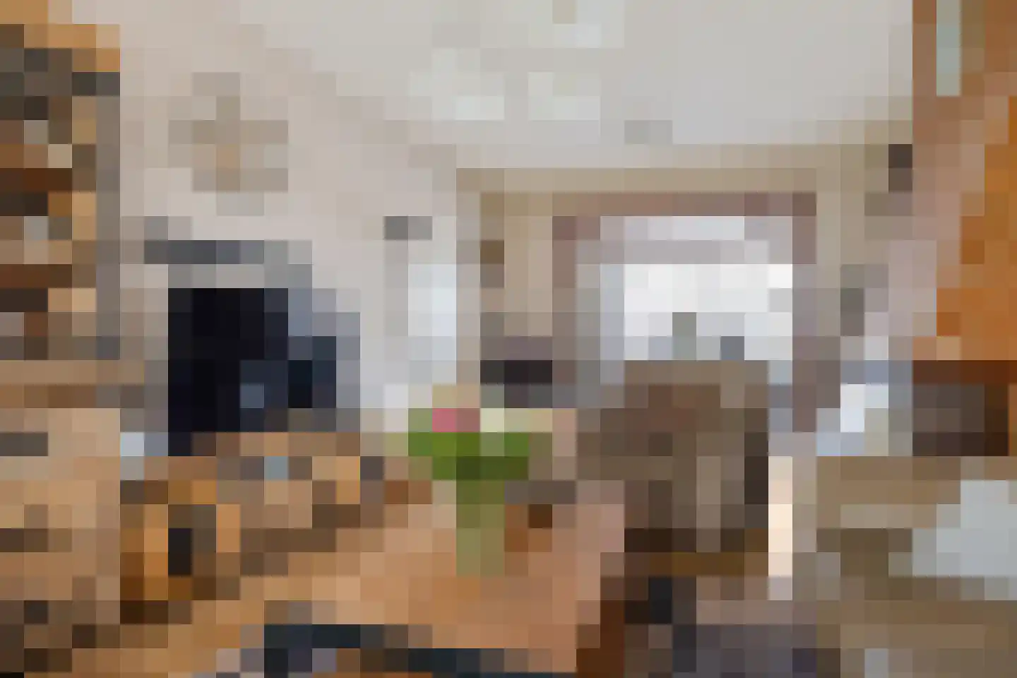Lindenlaan 8 Geesbrug thumbnail 8