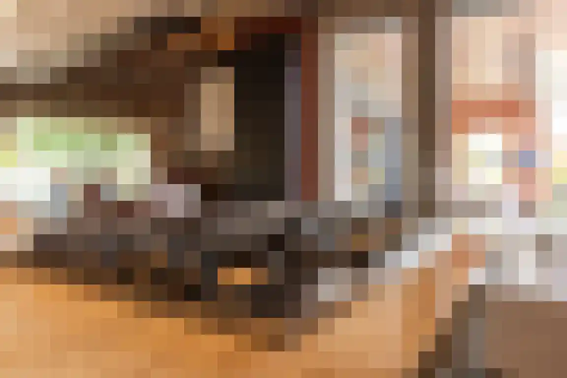 Lindenlaan 8 Ossendrecht thumbnail 16