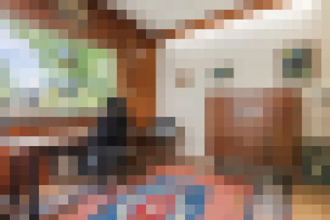 Lindenlaan 8 Ossendrecht thumbnail 18