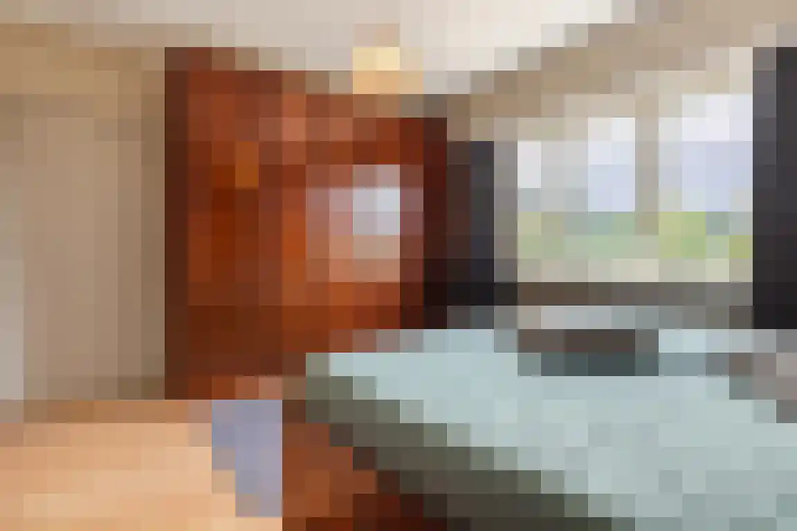 Lindenlaan 8 Ossendrecht thumbnail 22