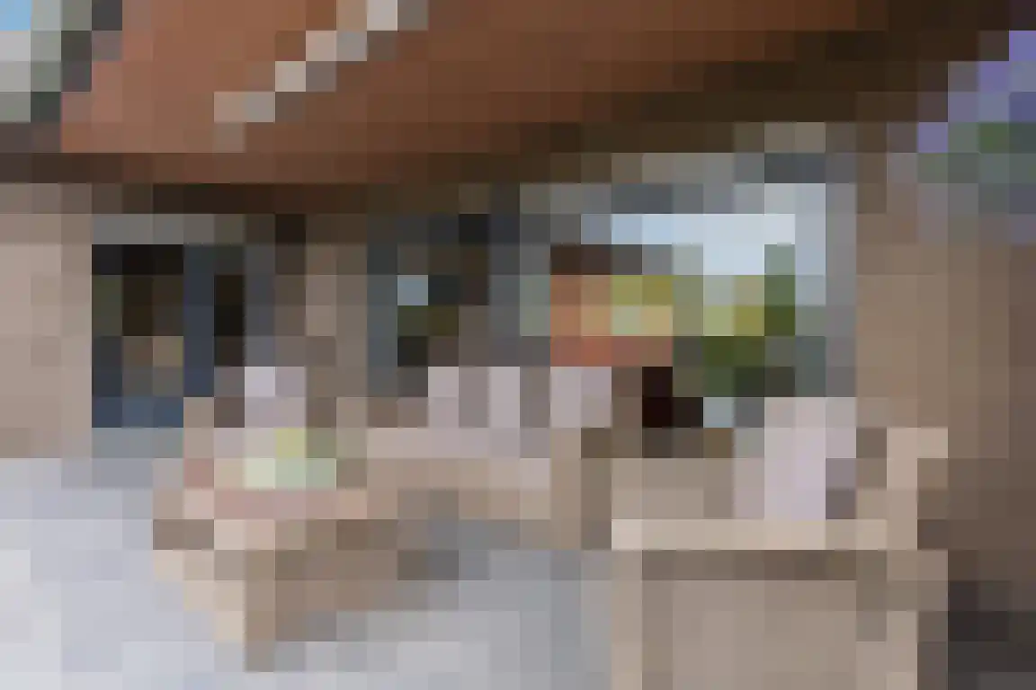 Lindenlaan 8 Ossendrecht thumbnail 32
