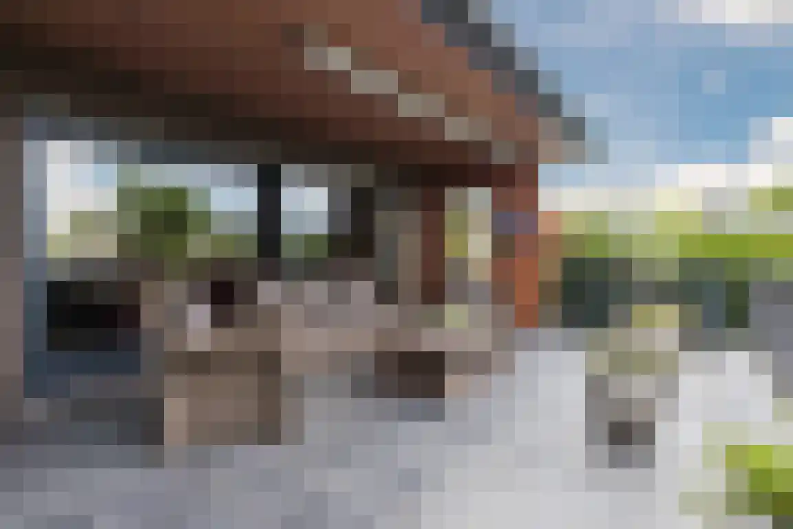 Lindenlaan 8 Ossendrecht thumbnail 33
