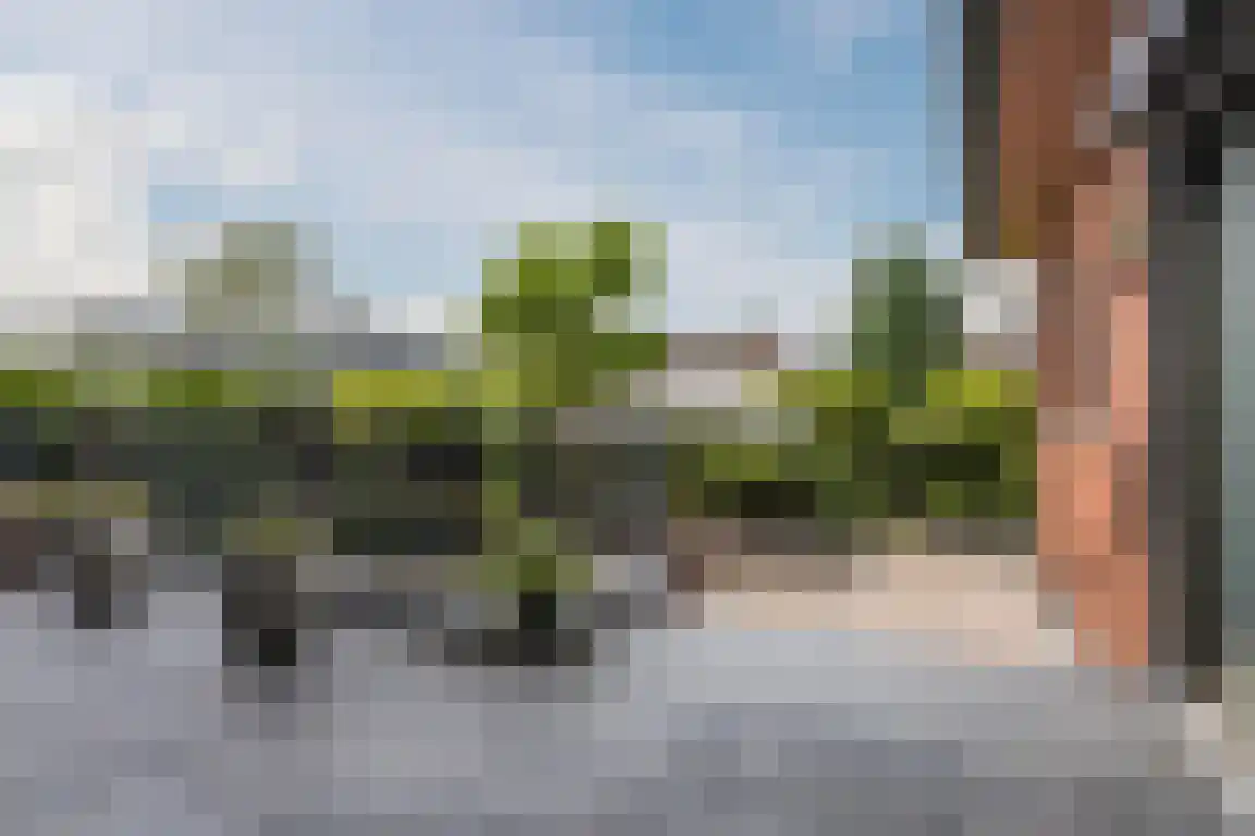 Lindenlaan 8 Ossendrecht thumbnail 35