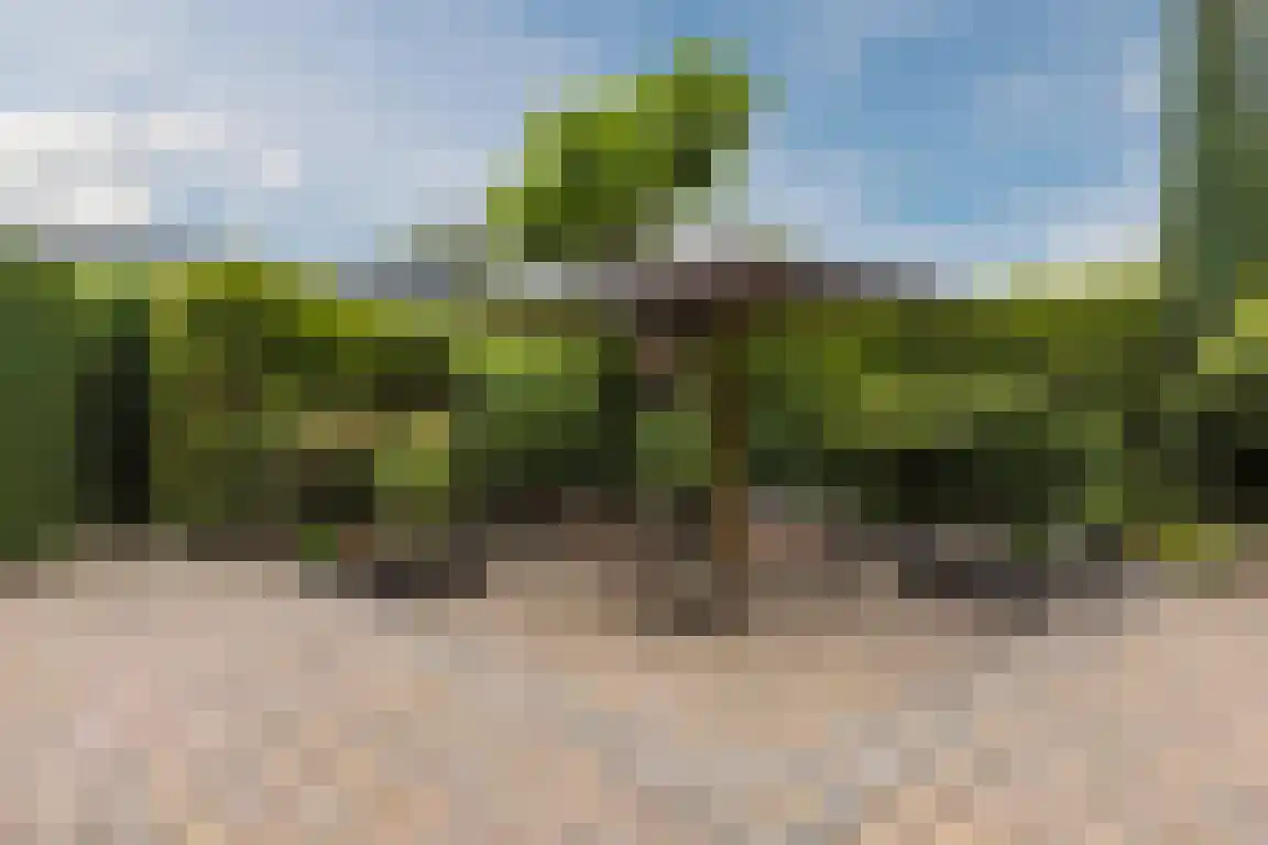 Lindenlaan 8 Ossendrecht thumbnail 37