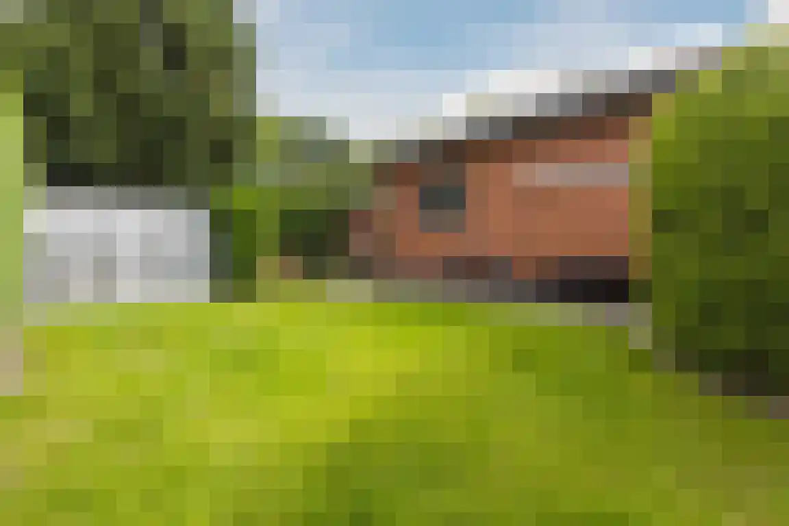 Lindenlaan 8 Ossendrecht thumbnail 41