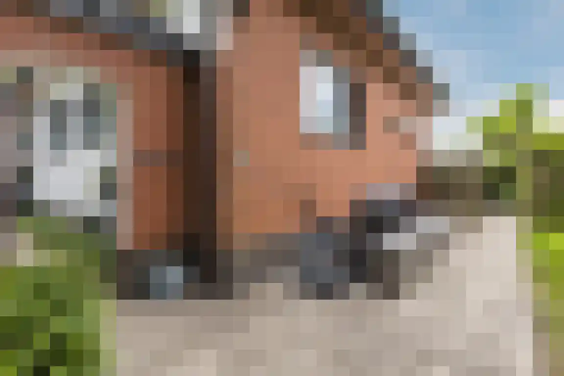 Lindenlaan 8 Ossendrecht thumbnail 42