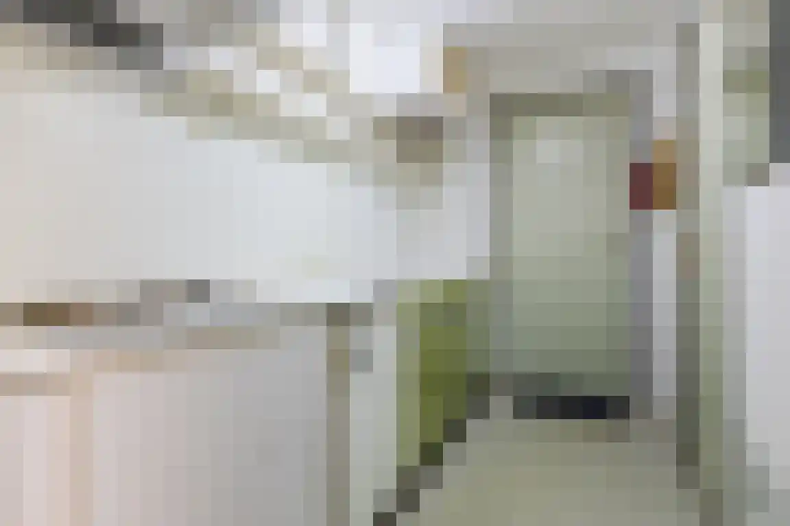Lindenlaan 8 Ossendrecht thumbnail 49