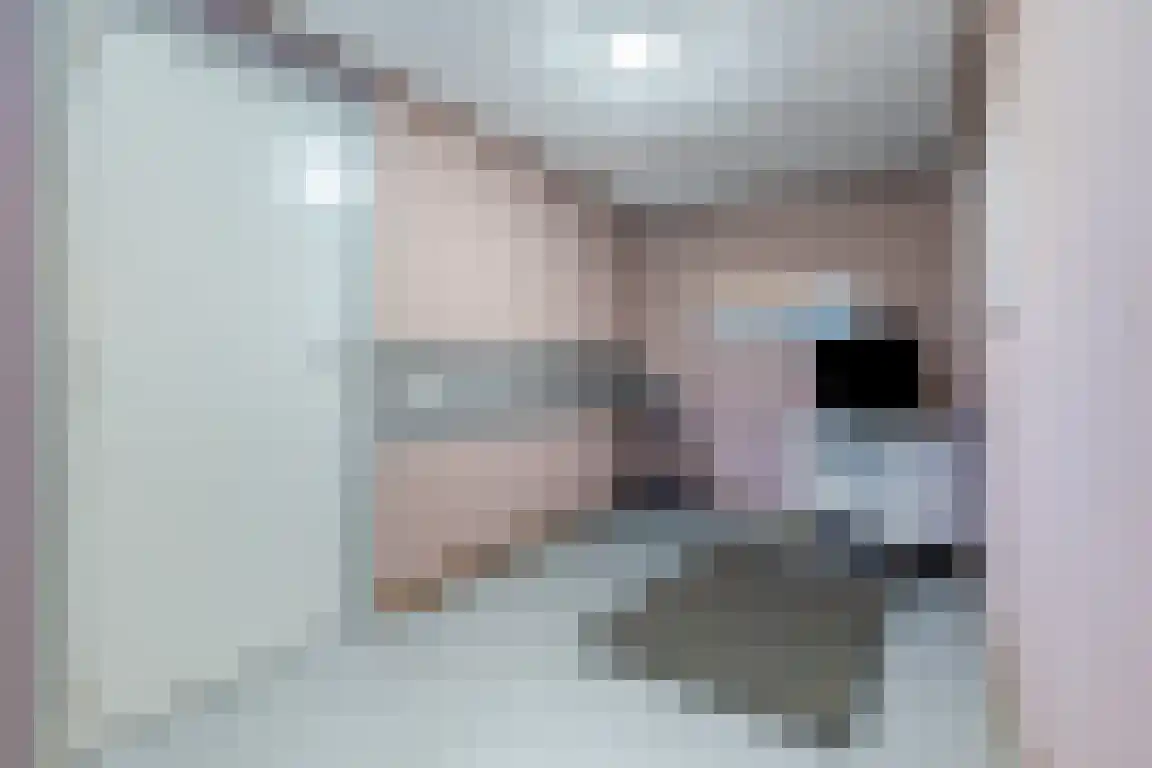 Lindenlaan 8 Ossendrecht thumbnail 61