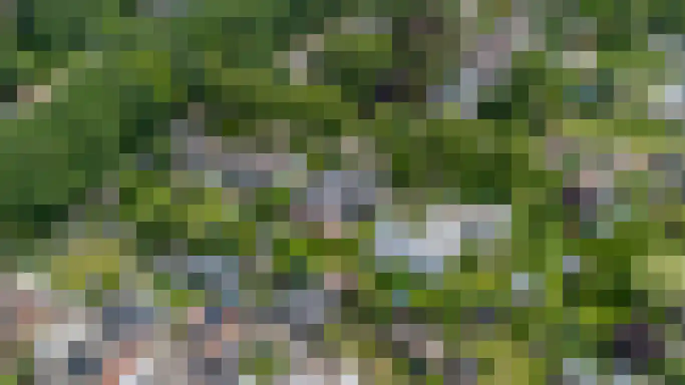 Lindenlaan 8 Ossendrecht thumbnail 69