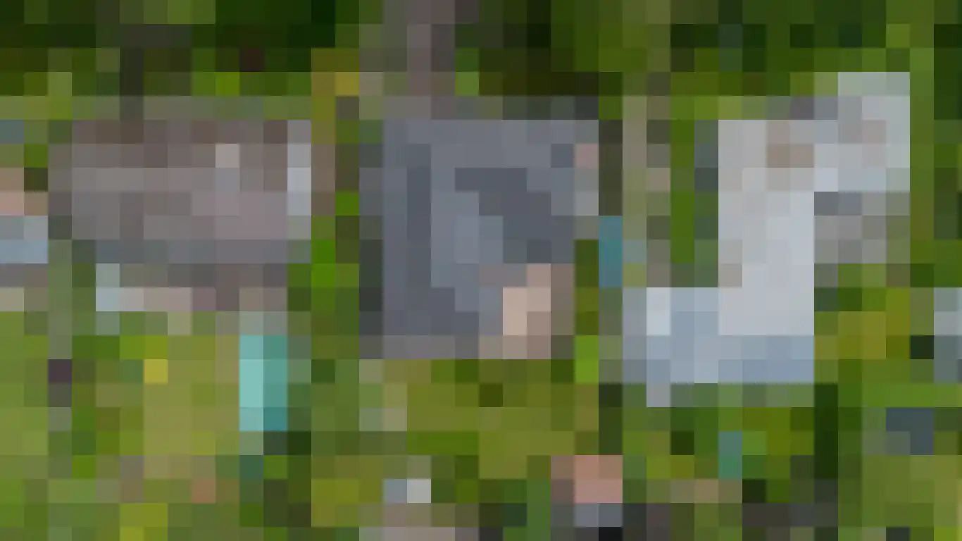 Lindenlaan 8 Ossendrecht thumbnail 70