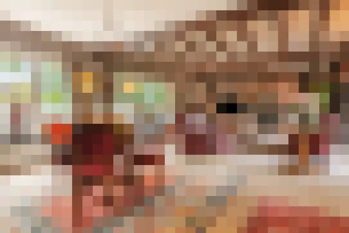 Lindenlaan 8 Ossendrecht thumbnail 8
