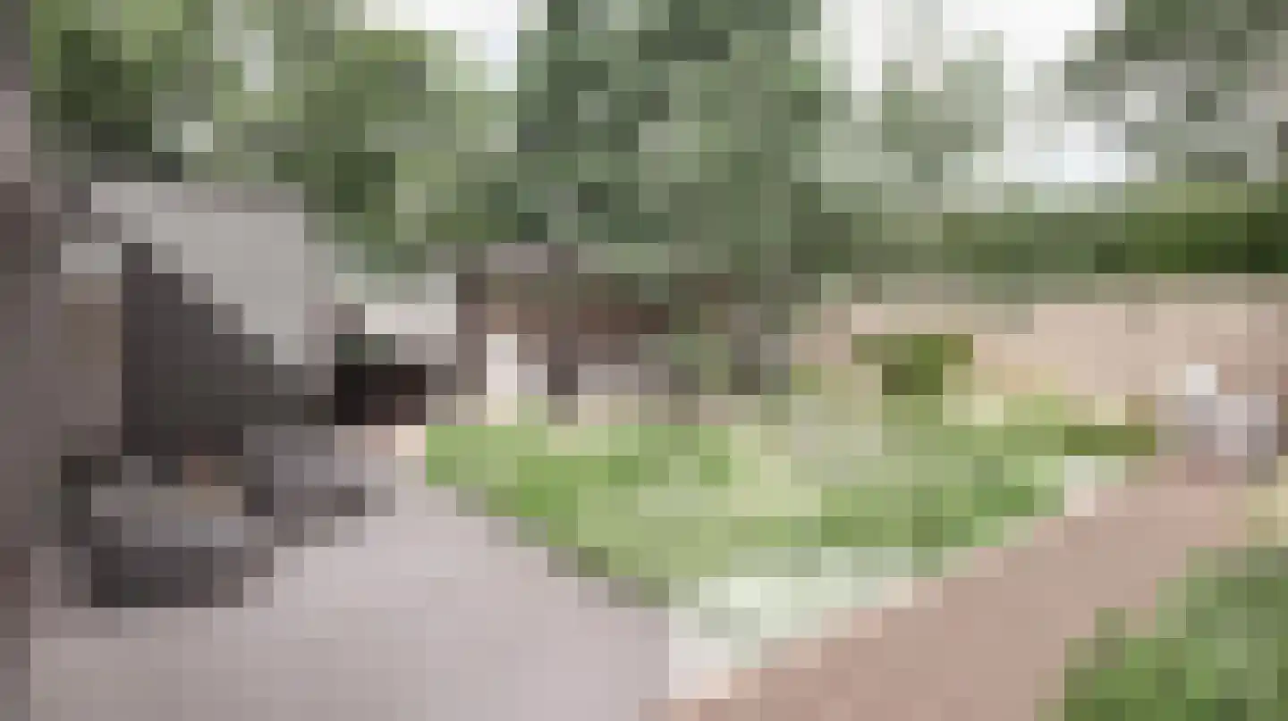 Lindenlaan 8 Waalre thumbnail 32