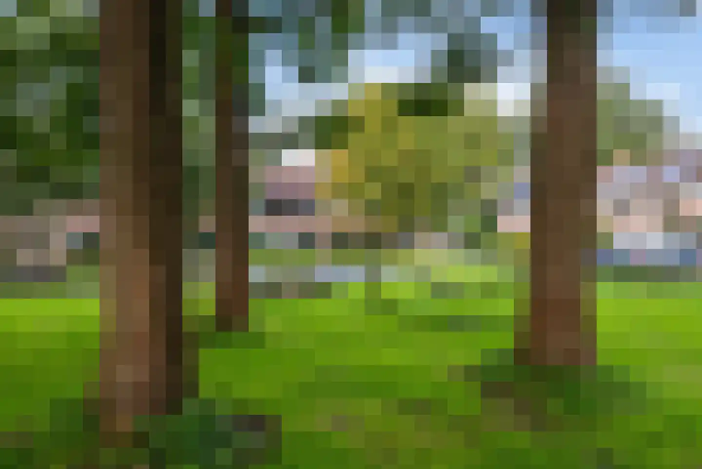 Lindenlaan 81 Schagen thumbnail 40