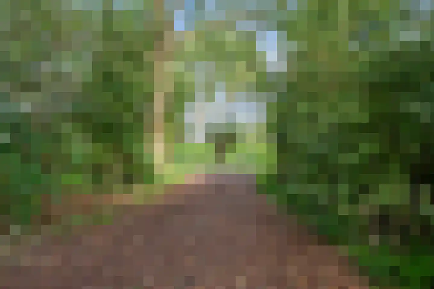 Lindenlaan 81 Schagen thumbnail 46