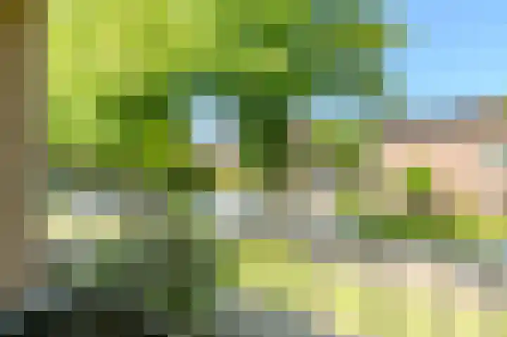 Lindenlaan 82 Castricum thumbnail 23